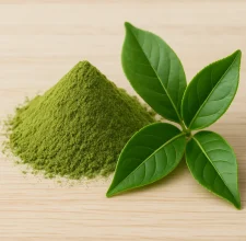 GlycoTide blood sugar natural 2026